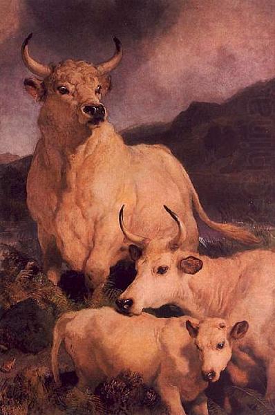 Wild Cattle at Chillingham, Sir Edwin Landseer